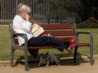 [woman reading, on a park bench]